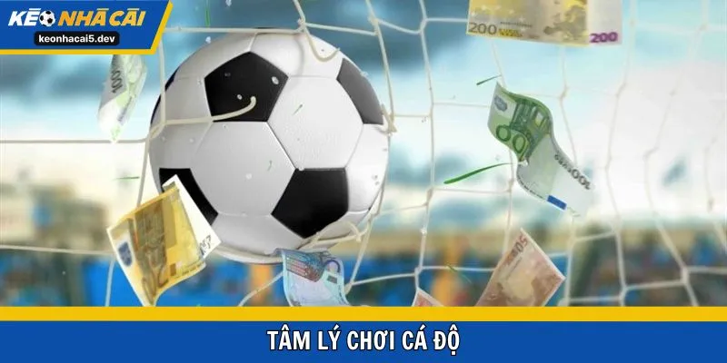 tâm lý chơi cá độ